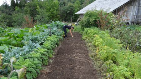 Cette ville française rachète des terres pour les confier à des maraîchers bio