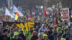 VIDÉO :  « Gilet Jaune » Toulouse :  un policier asperge du gaz lacrymogène en plein visage d’un homme en fauteuil roulant