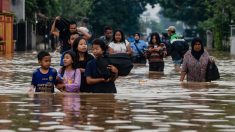 Inondations en Indonésie: le bilan porté à 50 morts en Papouasie