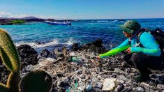 Un monstre au paradis, le plastique menace toute vie aux Galapagos