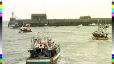 Brexit: la France « commence à envisager » des arrêts de bateaux de pêche