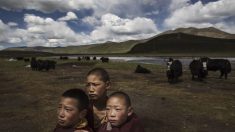 La « Révolution culturelle » chinoise pourrait réapparaître au Tibet