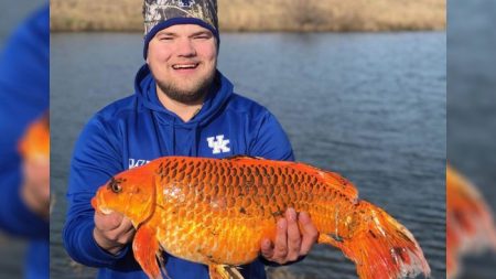 Un homme pêche un «poisson rouge» géant de 9 kilos avec un morceau de biscuit: «C’était dingue»