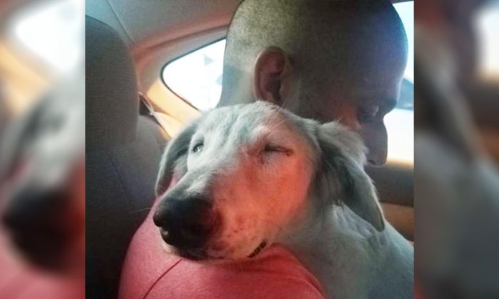 Anand Raman avec le chien errant qu'il a sauvé des rues de Dubaï. (Photo : Avec l'aimable autorisation de Anand Raman)