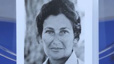 Une croix gammée sur une stèle en hommage à Simone Veil près de Nancy