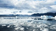 Une grand-mère du Texas dérive vers la mer après s’être assise sur un «trône de glace» pour prendre un portrait