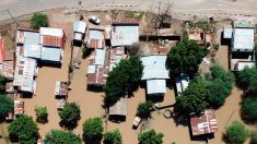 Zimbabwe: 200.000 personnes touchées par les inondations et le cyclone Idai (ONU)