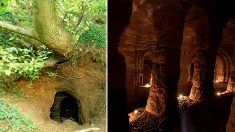 Un terrier de lapin dans le champ d’un fermier mène à un mystérieux réseau de grottes