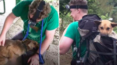 Taïwan- Ils font 12 heures d’une marche épuisante pour sauver un chien blessé