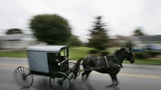 Regardez 200 hommes amish soulever une grange à mains nues et la déporter vers un nouvel emplacement