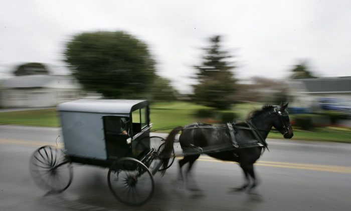 Photo d'un cheval tirant une calèche amish (Chris Hondros/Getty Images)