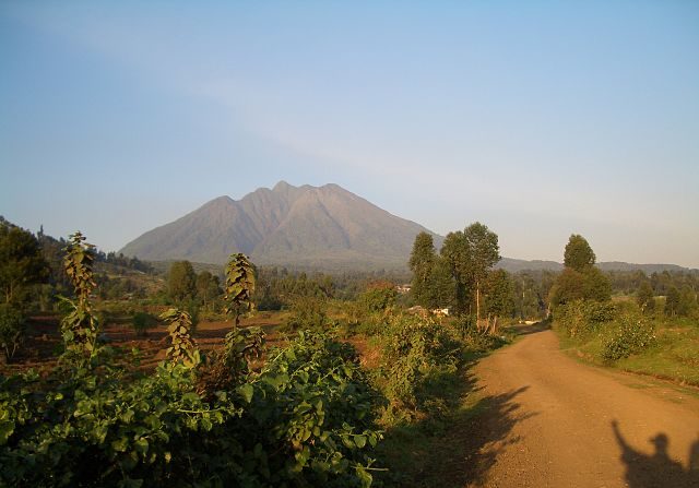 -Forêt impénétrable de Bwindi (Ouganda) Photo  de l'UNESCO 