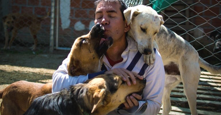 Crédit : Alimenta perritos de la calle Bolivia