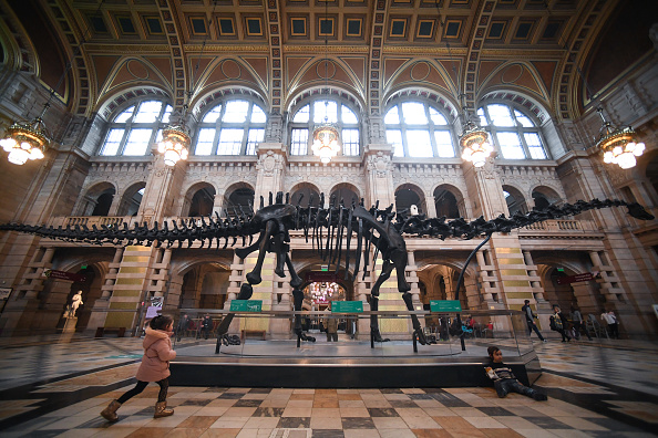 -Illustration-membres du public regardent un dinosaure à la galerie d'art et musée Kelvingrove le 22 janvier 2019 à Glasgow, en Écosse. Photo par Jeff J Mitchell / Getty Images.