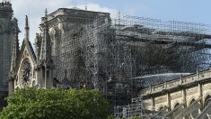 Notre-Dame: des ouvriers ont enfreint l’interdiction de fumer (entreprise d’échafaudage)