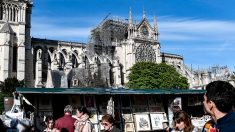 À l’ombre de Notre-Dame, un « village » à l’avenir incertain