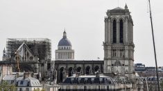 Un homme et sa fille derrière une photo virale prise avant l’incendie de Notre-Dame, sont retrouvés