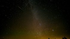 Espace : pluie d’étoiles filantes du côté de la constellation de la Lyre