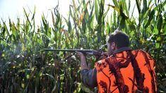 Il tire sur un autre chasseur qu’il a « confondu avec une grive »