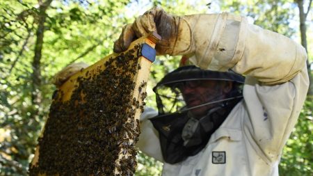 La destruction de la nature, une menace pour l’Homme autant que le réchauffement