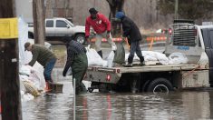 Un « superhéros » travaille bénévolement 18 heures par jour pour aider les victimes d’inondations