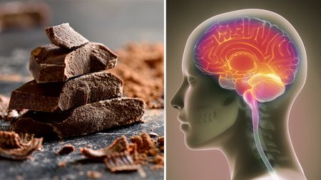 Manger du chocolat est bon pour le cerveau et d’autres organes du corps, selon les scientifiques