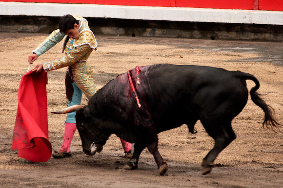 Retour de la corrida dans les arènes de la ville de Lunel (Hérault). (Phot d'illustration : Commons)