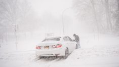 Le mystère d’une femme qui a survécu après avoir été complètement gelée pendant 6 heures passées à -30 °C