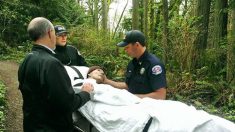 Un ancien garde forestier se rend une dernière fois dans la forêt avant de quitter ce monde