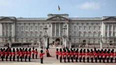 Ne touchez pas aux soldats de la Garde royale britannique, démonstration en vidéo