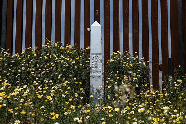 -Des fleurs sauvages s'épanouissent devant la barrière frontalière américano-mexicaine vue de Tijuana, dans l'État de Basse Californie au Mexique, le 26 mars 2019. Nous construisons le mur, affirme Jeff Allen. Cette compagnie a été lancée par Brian Kolfage, ancien combattant amputé de trois membres, afin d'aider M. Trump à ériger son mur. Photo de Guillermo Arias / AFP / Getty Images.