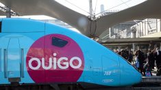 Marseille : un nouveau-né retrouvé dans la poubelle d’un train OuiGo en gare Saint-Charles