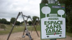 À partir du 8 juin la mairie de Paris va étendre l’interdiction de fumer à 52 parcs et jardins