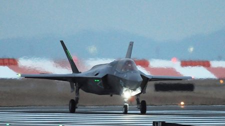 Un avion furtif américain F-35 gravement endommagé au Japon par un oiseau