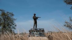 Bénin : que sait-on de la disparition des deux touristes français dans la Pendjari ?