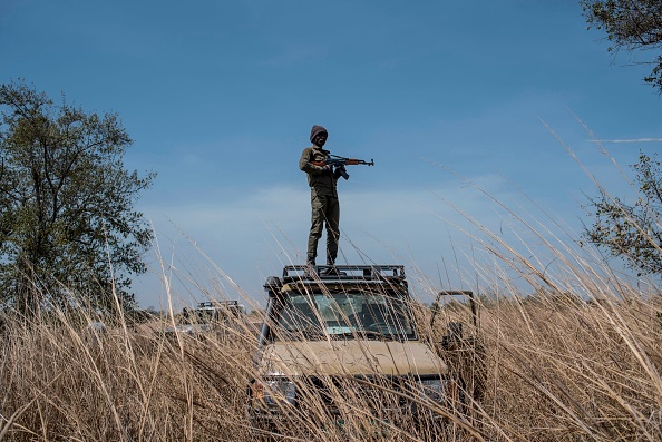 Un garde forestier monte la garde sur le toit d'un véhicule dans le parc national de Pendjari, près de Tanguieta au Benin.   (Photo : STEFAN HEUNIS/AFP/Getty Images)