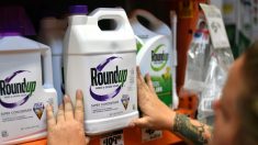 Nouveau procès Roundup : Monsanto (Bayer) condamné à verser 2 milliards de dollars