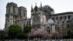 Notre-Dame de Paris : un cabinet d’architecture suédois propose de construire une piscine publique géante sur le toit