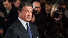 Sylvester Stallone a gardé les deux tortues dans «Rocky», et elles ont maintenant 45 ans!