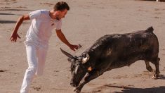 Spectacle de tauromachie : un jeune homme perd la vie