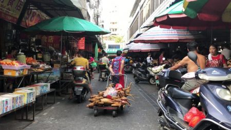 Du «chien grillé vivant» : la maltraitance animale en Chine atteint de nouveaux sommets