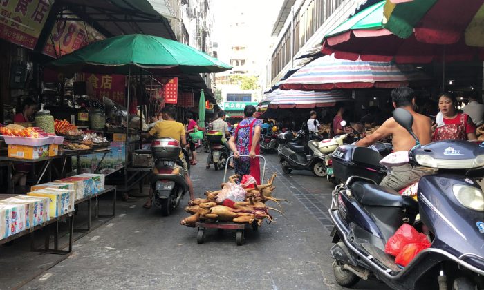 Une femme traînant une charrette pleine de chiens cuits dans un marché en Chine. (Pak Yiu/AFP/Getty Images)