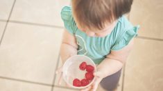 Des parents condamnés à trois mois de prison pour avoir imposé un régime alimentaire à leur tout-petit, qui l’a presque fait mourir de faim