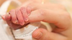 Une mère refuse d’avorter son bébé, même si son cœur est à l’extérieur de sa poitrine, puis elle assiste à des miracles après la naissance