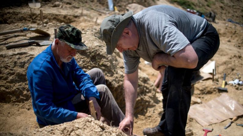 Le professeur Nikolay Spassov travaille près du village de Rupkite, au centre de la Bulgarie, le 7 juin 2017. (Nikolay Doychinov/AFP/Getty Images)