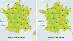 Canicule la semaine prochaine: ce qui vous attend et comment vous protéger de la chaleur