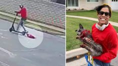 Une vidéo montre une femme en train de traîner un chien en sang derrière sa trottinette électrique