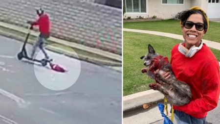 Une vidéo montre une femme en train de traîner un chien en sang derrière sa trottinette électrique