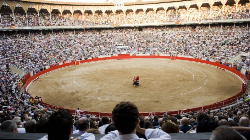 Les arènes La Monumental, désormais fermées, situées à Barcelone, le 25 septembre 2011. (David Ramos/Getty Images)
