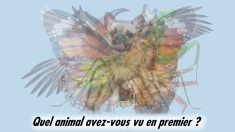 Le premier animal que vous voyez dans cette image révélera des aspects cachés de votre personnalité